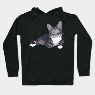 Gray tabby cat Hoodie